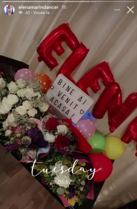 elena marin surpriza
