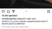 Emily Burghelea a salvat o pasăre