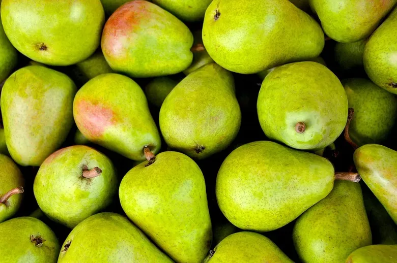 Fructele și legumele lunii OCTOMBRIE fructele și legumele lunii octombrie