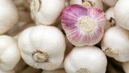 Cât timp se ține cura cu usturoi dimineața