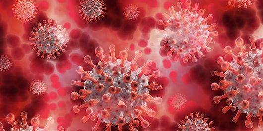 Noi reguli pentru românii care vor să intre în Bulgaria! Testul PCR negativ este valabil chiar și pentru persoanele vaccinate!