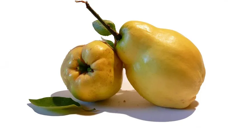 Rețetă de peltea de gutui. Este cel mai bun jeleu natural Rețetă de peltea de gutui. Este cel mai bun jeleu natural
