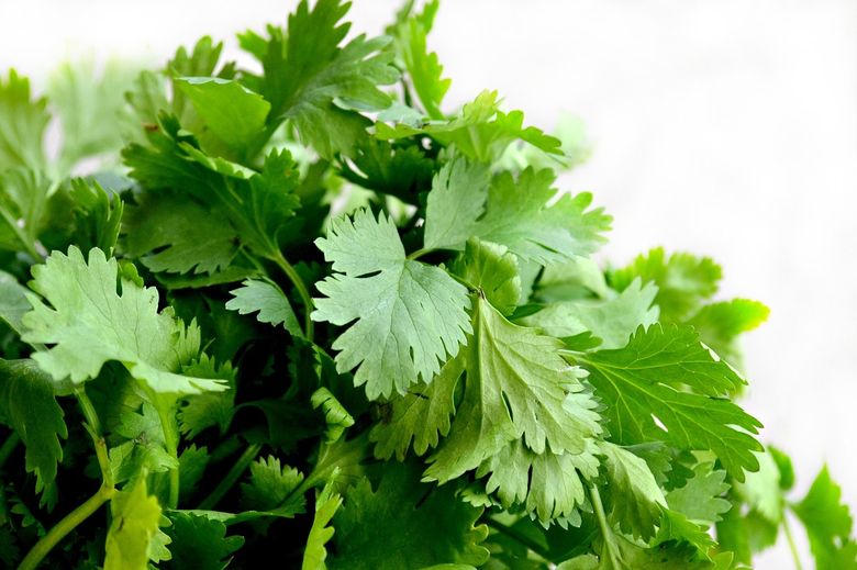Dieta cu ceai de patrunjel Dieta cu ceai de patrunjel