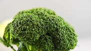 Dieta cu broccoli