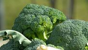 Dieta cu broccoli