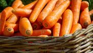 Dieta cu morcovi 