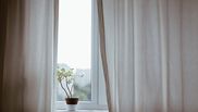 Plantele care aduc bunastare si energii pozitive in casa