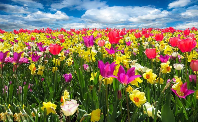 Horoscop 14 - 20 martie 2022 pentru toate zodiile Horoscop 14 - 20 martie 2022