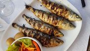 carne de peste beneficii