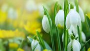 meteo 24 martie 2022