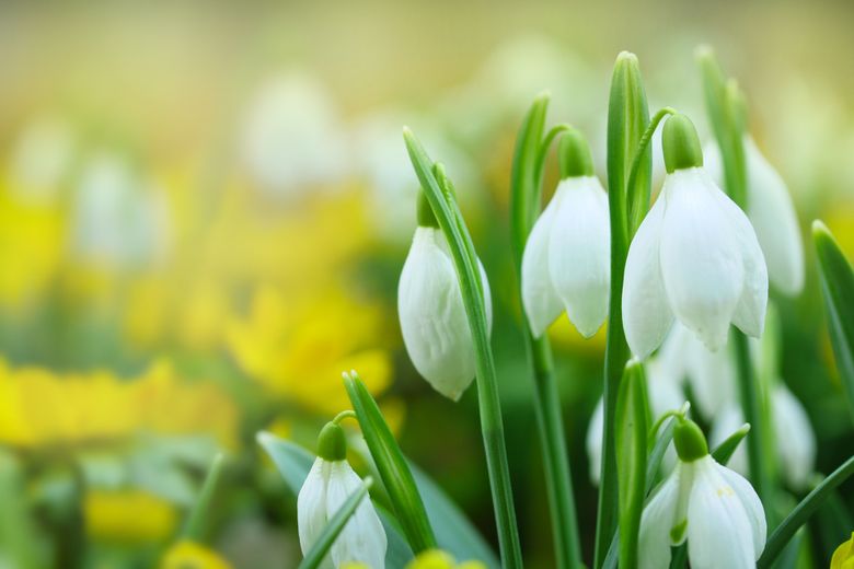 Știi cum să te îmbraci mâine? Descoperă prognoza meteo din 24 martie 2022. Anunțul ANM: temperaturi placute! meteo 24 martie 2022