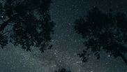 Horoscop zilnic  29 martie