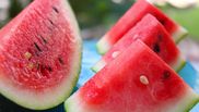 pepene cu paine nutritie
