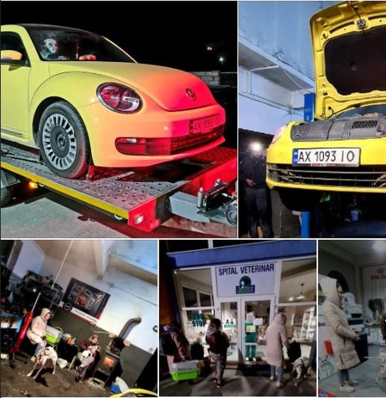 Trei tinere din Ucraina şi animalele lor de companie au fost ajutate de câţiva români