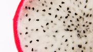 fructul dragonului beneficii