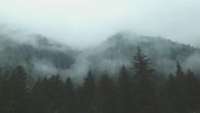 ce simbolizeaza sarbatoarea ielelor