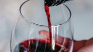 vin rosu fructat
