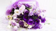 vise in care apar flori