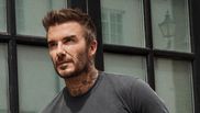 david beckham  sexy