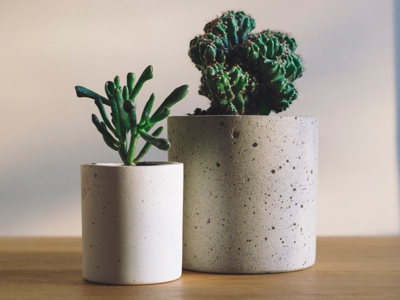 Unde să îți ascunzi banii în casă