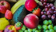 nume de fructe
