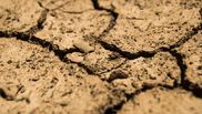 Alertă din cauza secetei în România! 