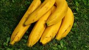 Beneficiile bananelor pentru organism