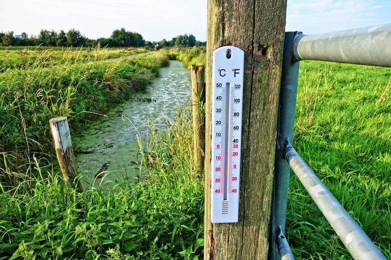 Vremea in Romania, 22 iulie
