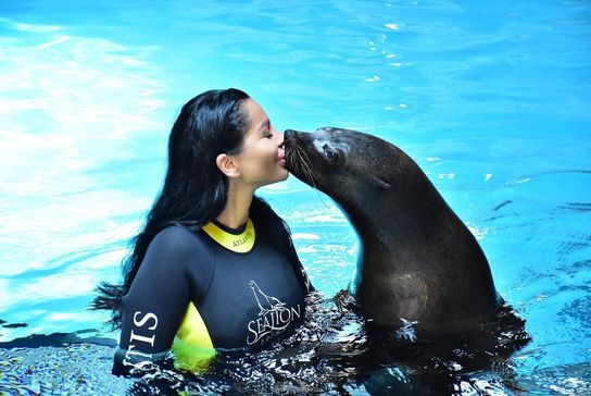 Briggite Pastramă apariție de senzație pe plaja din Mamaia