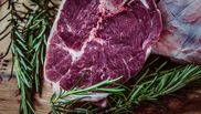 carne de miel beneficii