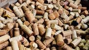 Ce se întâmplă dacă pui dopurile de plută în frigider