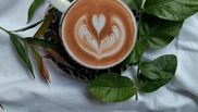 Cafea