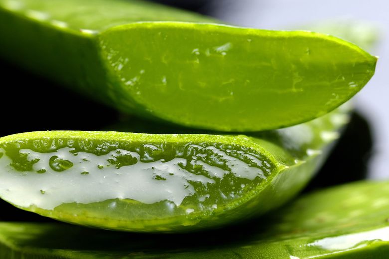 La ce te ajuta Aloe Vera si de ce sa o folosesti La ce te ajuta Aloe Vera si de ce sa o folosesti