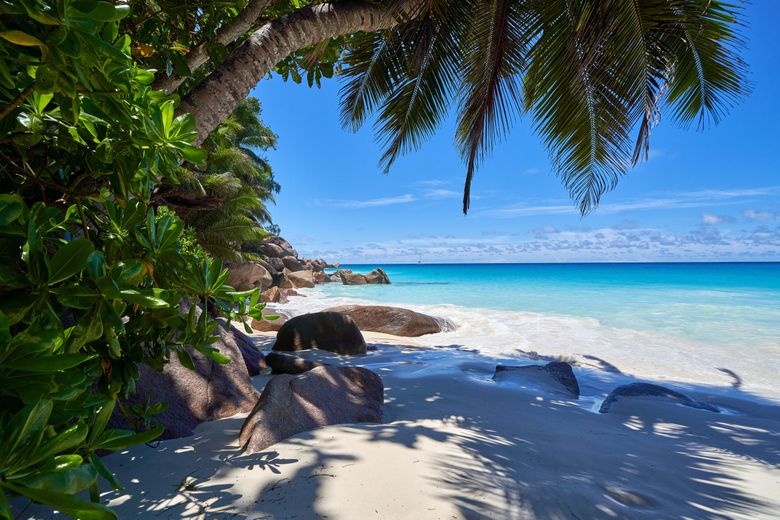 Ce să vizitezi în Seychelles. “Există o mică insulă care este locuită de un singur resort luxury, unde ajungi numai dacă ai aprobarea să mergi cu elicopterul." Ce să vizitezi în Seychelles. “Există o mică insulă care este locuită de un singur resort luxury, unde ajungi numai dacă ai aprobarea să mergi cu elicopterul."