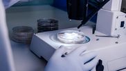 sfaturi pentru fertilizare in vitro