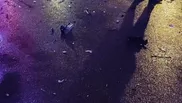 În ce condiții poate scăpa Culiță Sterp, după accidentul rutier în care a fost implicat