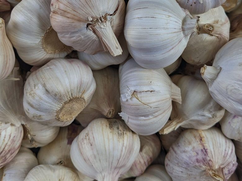 Care este ingredientul secret care va schimba gustul peștelui Care este ingredientul secret care va schimba gustul peștelui