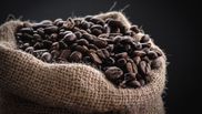 cafeaua absoarbe umezeala