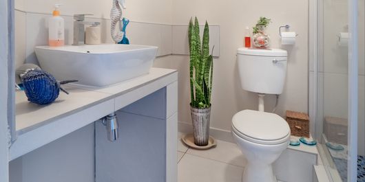 Ce se întâmplă dacă pui săpun în toaletă. Instalatorii pricepuți știu secretul
