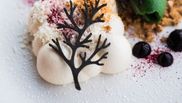 reteta de panna cotta