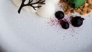 cea mai buna reteta de panna cotta