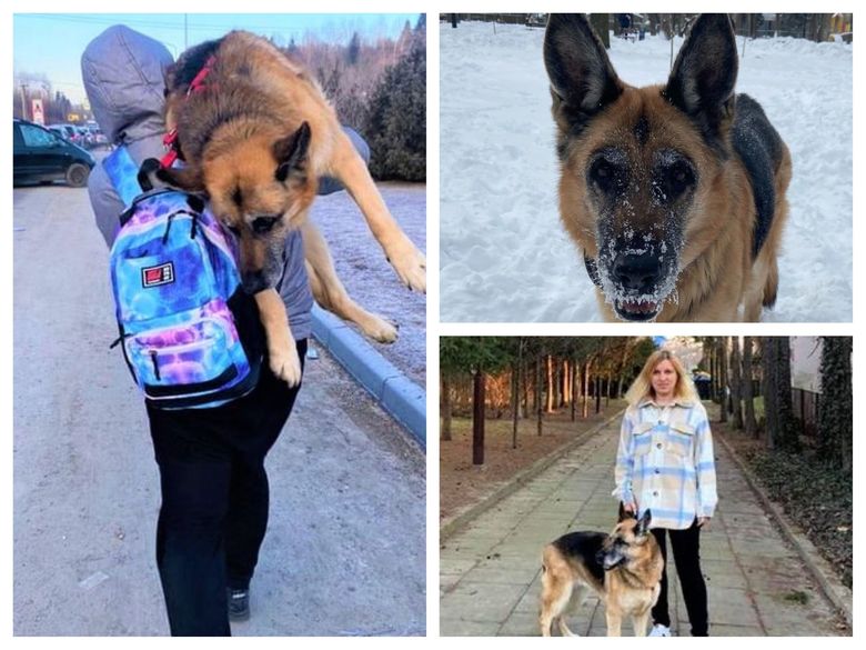 Povestea înduioșătoare a unei femei care și-a cărat câinele pe umeri 17 kilometri, pentru a scăpa de bombardamentele Rusiei