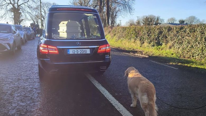  Animăluțul a mers în spatele sicriului stăpânei, pe ultimul drum