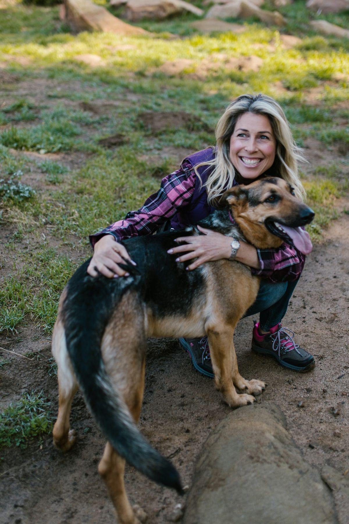 Cum putem diminua numărul de animale abandonate