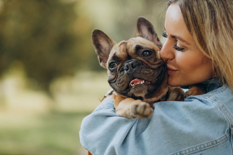 Cum îngrijim corect rasele Bulldog Francez și Pug