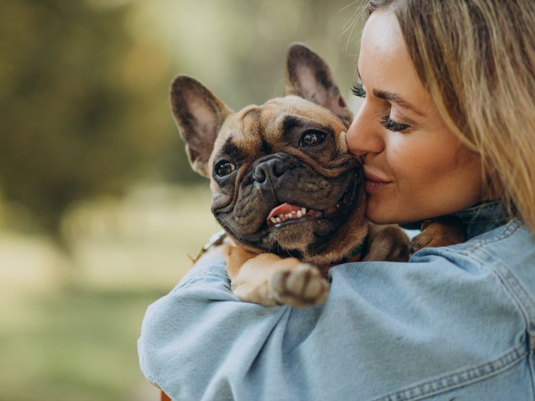 Cum îngrijim corect rasele Bulldog Francez și Pug Cum îngrijim corect rasele Bulldog Francez și Pug