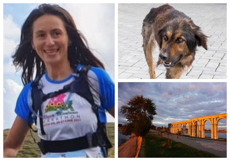 Cine este femeia care și-a pierdut viața, după ce a fost atacată de câini în București
