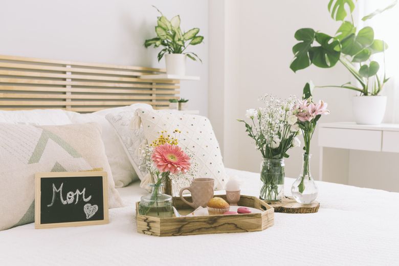 5 plante miraculoase care purifică aerul din casă