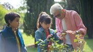 Rolul bunicilor în creșterea nepoților