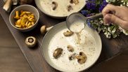 supa crema de ciuperci